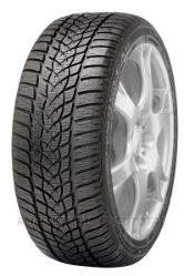 Pneu Goodyear UltraGrip Performance 2